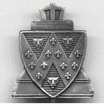 SACBR lapel badge